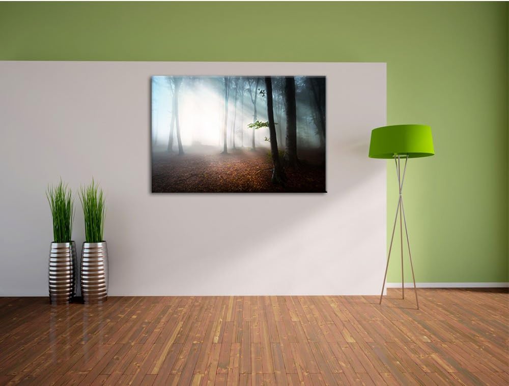 Düsterer Wald im Nebel, Format: 100x70 auf Leinwand, XXL riesige Bilder fertig gerahmt mit Keilrahme