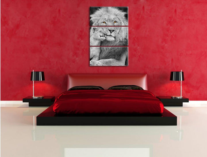 Pixxprint schöner Löwe mit Jungtier als Leinwandbild/Grösse: 3 Teilig (120x80) cm/Wandbild/Kunstdruc