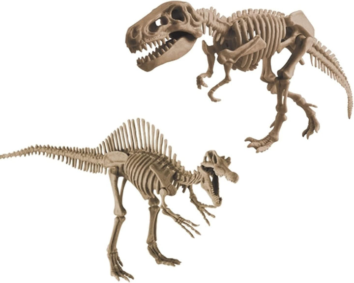 Grosses 2in1 Dinosaurier Ausgrabungsset mit Werkzeug Spinosaurus und Tyrannosaurus Rex in schwerem S
