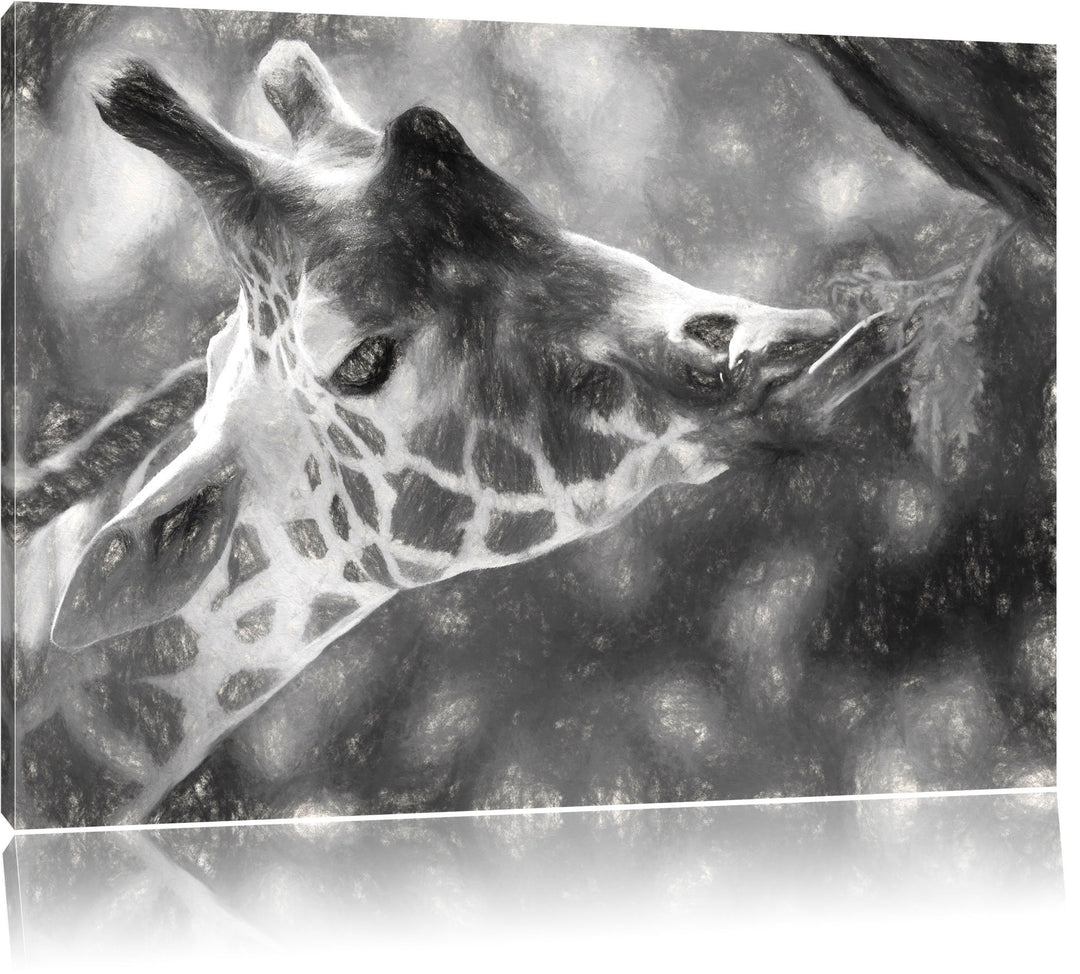Pixxprint fressende Giraffe als Leinwandbild/Grösse: 100x70 cm/Wandbild/Kunstdruck/fertig bespannt,