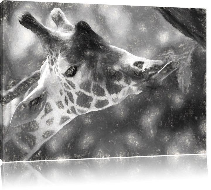 Pixxprint fressende Giraffe als Leinwandbild/Grösse: 100x70 cm/Wandbild/Kunstdruck/fertig bespannt,