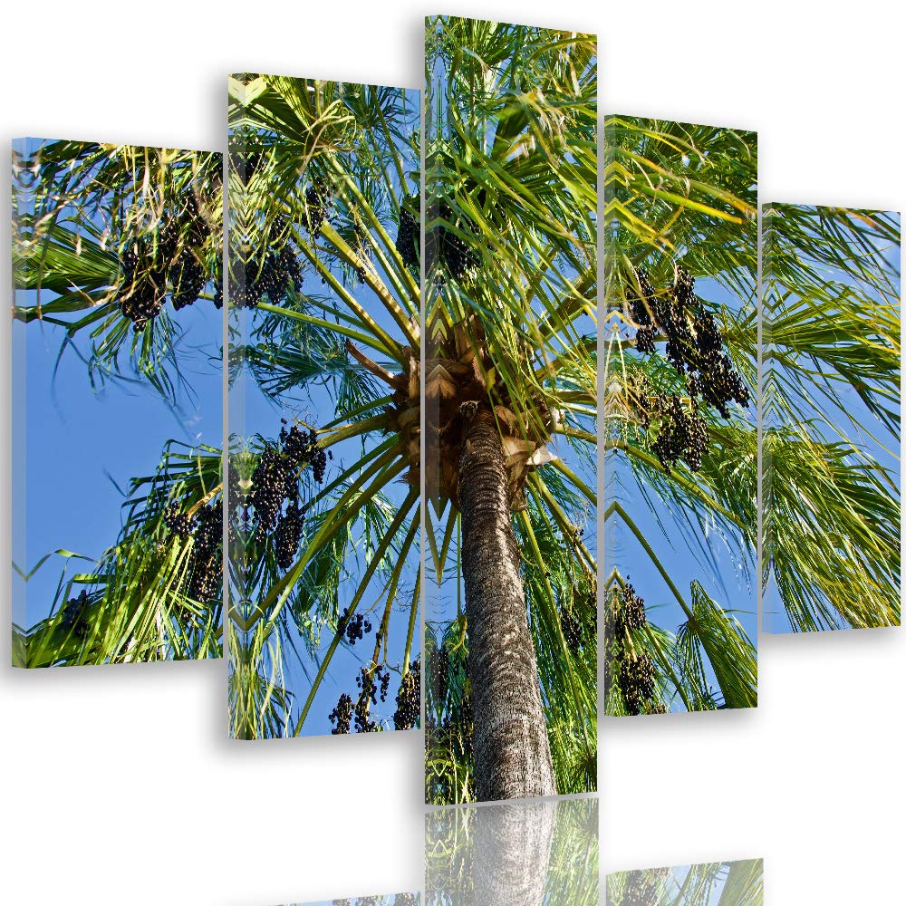 Feeby Leinwandbild 5 Teilig Palme Bild Wanddeko Natur Exotik Himmel blau grün 200x100 cm Leinwandbil