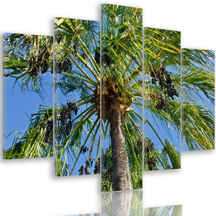 Feeby Leinwandbild 5 Teilig Palme Bild Wanddeko Natur Exotik Himmel blau grün 200x100 cm Leinwandbil