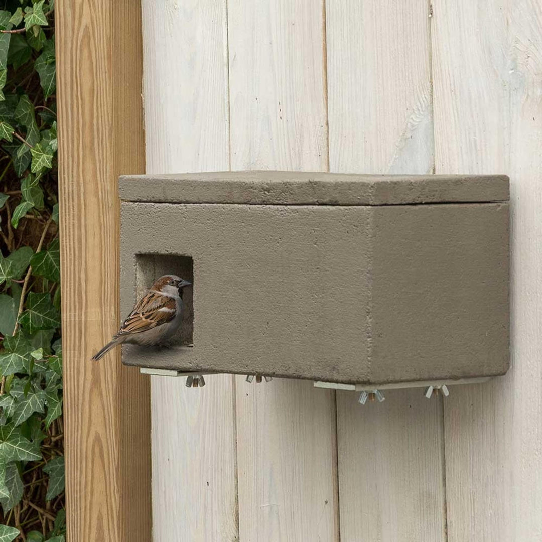 CJ Wildlife Nistkasten Sperling – Vogelnistkasten für draussen wetterfest – Holzbeton mit Plattform