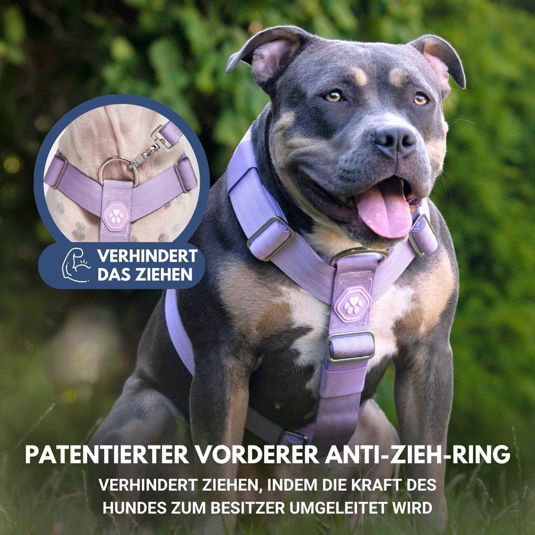 Spark Paws No-Pull Hundegeschirr – Entwickelt für Sicherheit und Kontrolle, ideal für grosse, kräfti