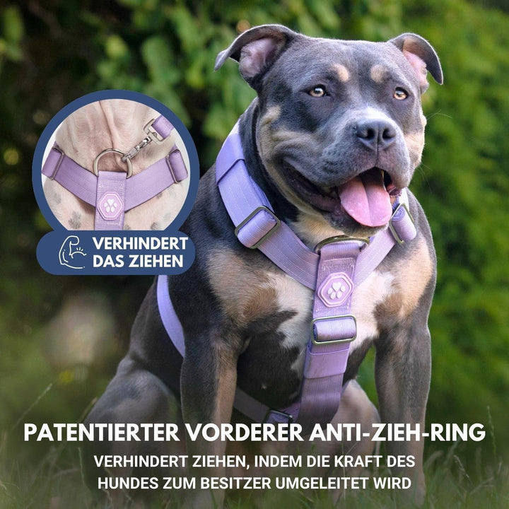 Spark Paws No-Pull Hundegeschirr – Entwickelt für Sicherheit und Kontrolle, ideal für grosse, kräfti