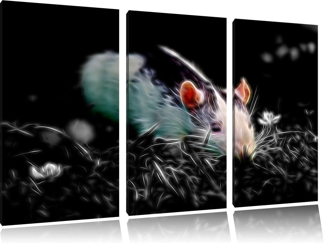 Dark kleine Maus auf Blumenwiese schwarz/weiss Deluxe 3-Teiler Leinwandbild 120x80 Bild auf Leinwand