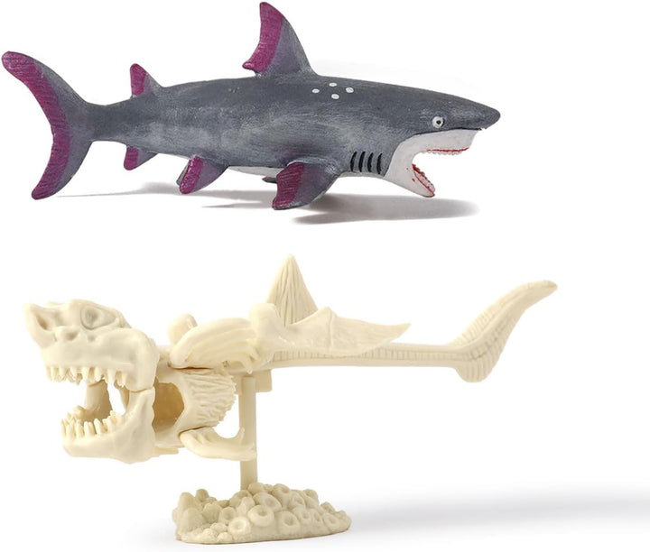 EGGBOX Megalodon Skelett Ausgrabungsset für Kinder – 2-in-1 Dig & Build Kit mit Graffiti-Mammut, Exp