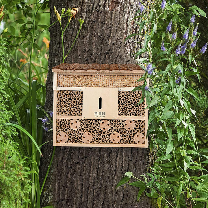 WILDLIFE FRIEND I Bienenhotel Insektenhotel 29.5 x 28 x 10 cm mit Holz-Dach - unbehandelt, Bienenhau
