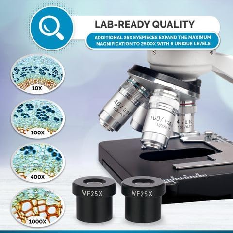 AmScope - 40X-2500X binokulares Verbundmikroskop, LED, biologisches Labormikroskop mit 3-D-Stufe für