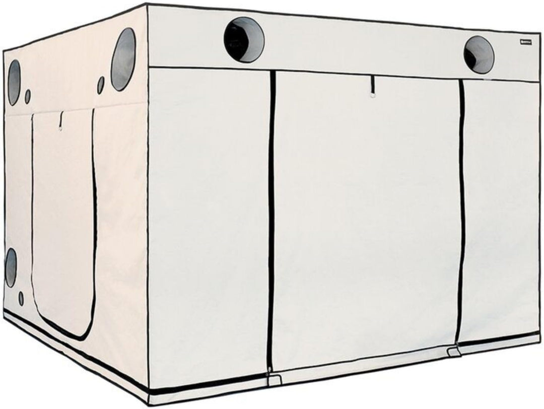 HOMEbox Ambient 300x300x220 cm - Zuchtzelt Growschrank Growzelt Zuchtbox Gewächszelt Homebox Lichtdi