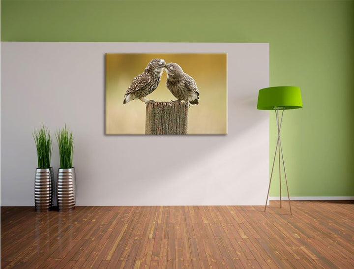Pixxprint Küssende Eulen, Format: 100x70 auf Leinwand, XXL riesige Bilder fertig gerahmt mit Keilrah