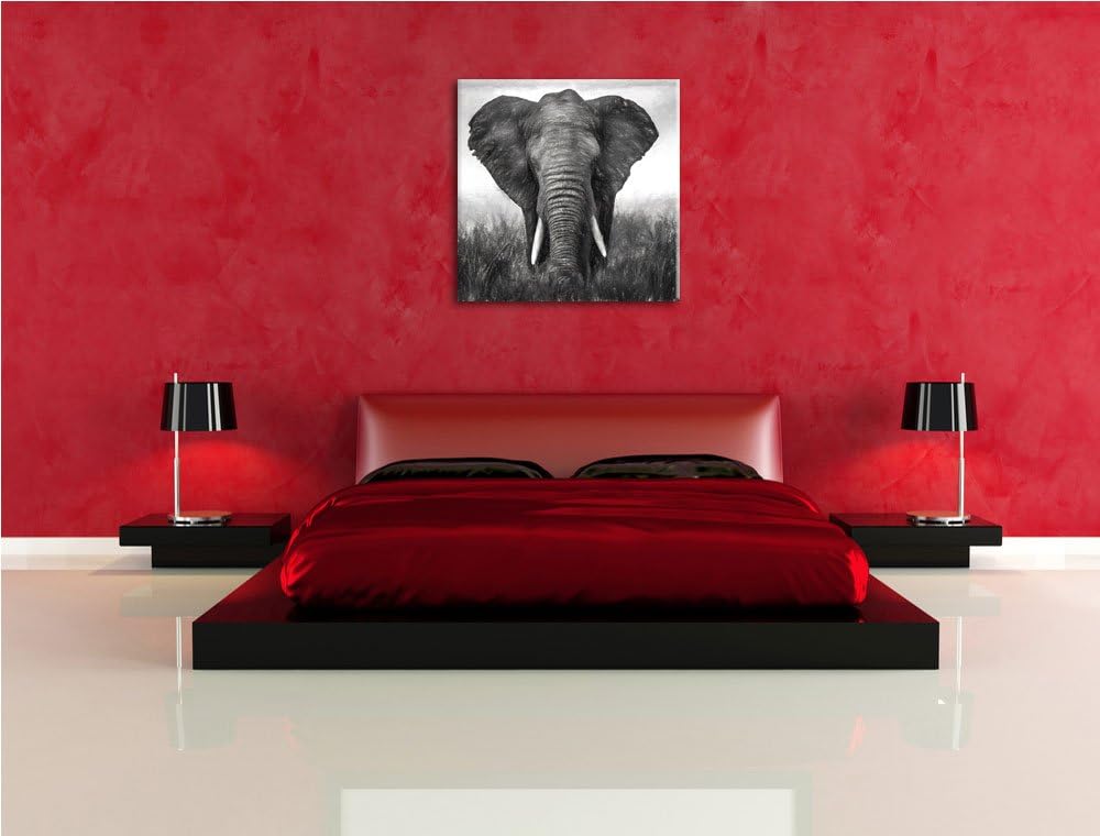 prachtvoller Elefant, Format: 70x70 als Leinwandbild, tolle Bilder fertig auf Holzrahmen gespannt, K