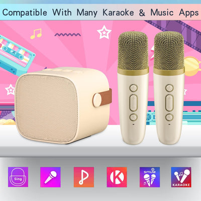 Karaoke Maschine mit 2 Drahtlosen Mikrofonen, Wowstar Tragbares Bluetooth Karaoke Maschine für Kinde