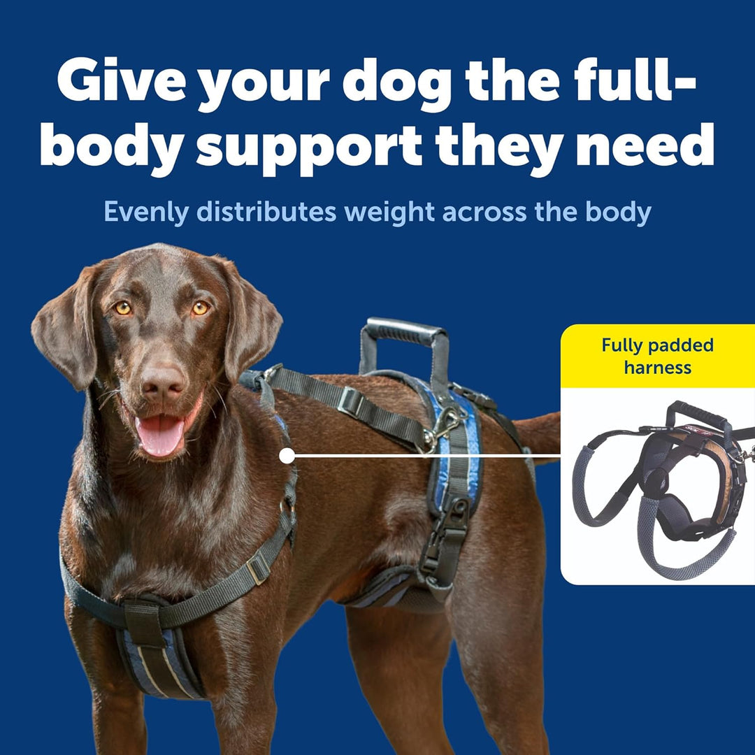 PetSafe CareLift Stützgeschirr – Ganzkörper-Hundegeschirr mit Griff und Schulterschlinge – ideal für