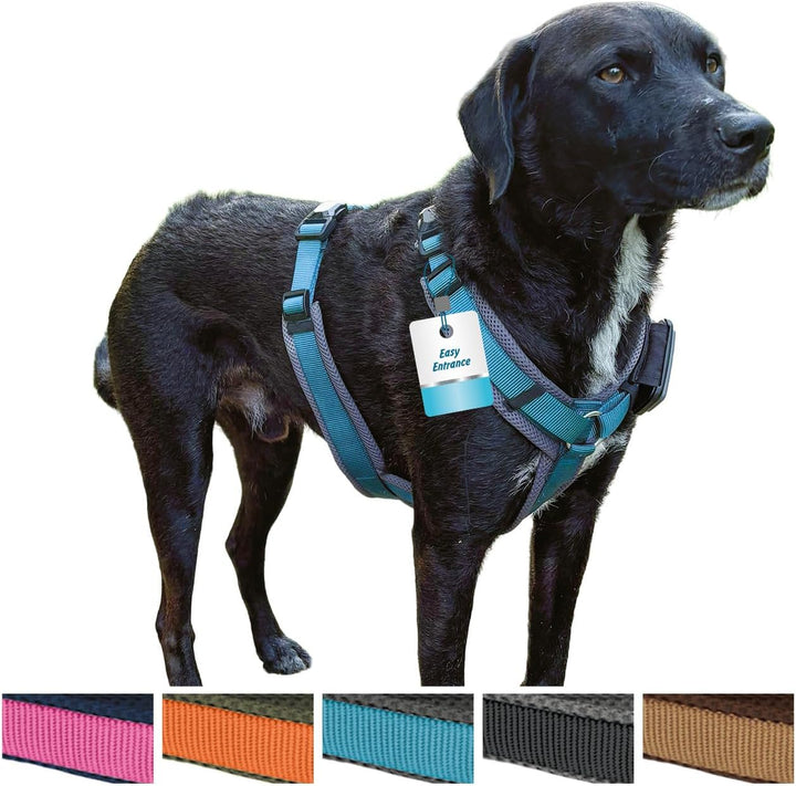 Petlando Hundegeschirr Magnetech Y-Comfort – Innovative Magnetschnalle, atmungsaktiv, mit Mesh gepol