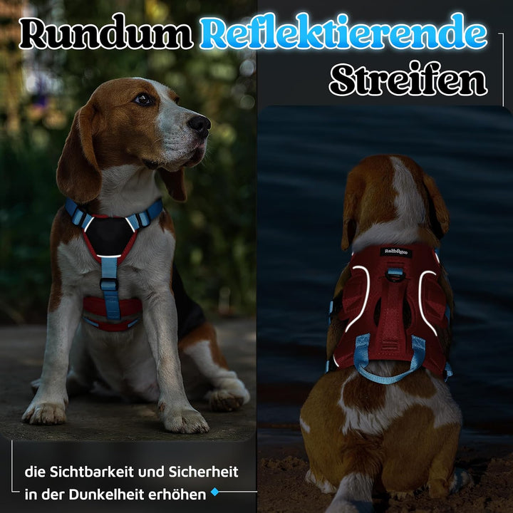 rabbitgoo Hundegeschirr Mittelgrosse Hunde，Sicherheitsgeschirr Hund | Sicherer Hebegriff, einfache K