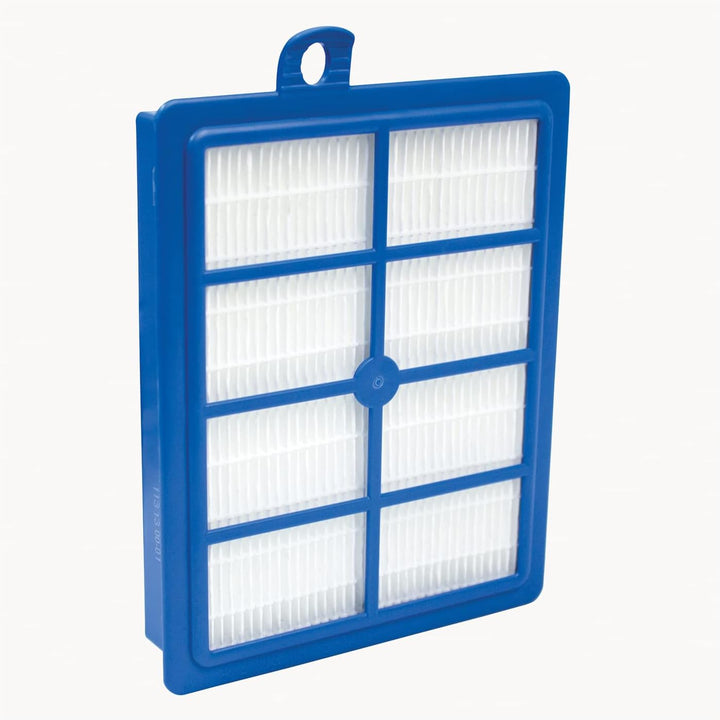 AEG AFS1W Allergy Plus Filter (Ideal für Allergiker, Filterwirkung mehr als 99%, saubere Luft, wasch