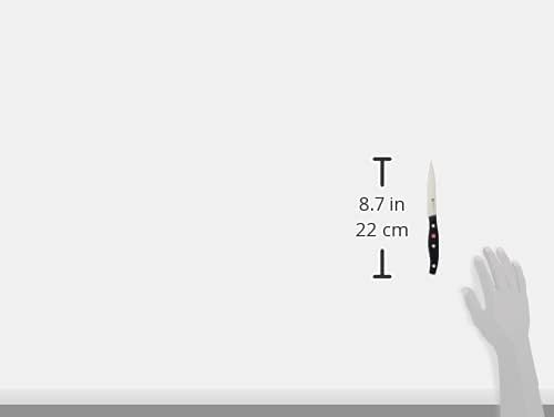 Zwilling 1001355 Spick-/Garniermesser, Klingenlänge: 10 cm, Kleines Klingenblatt, Rostfreier Spezial