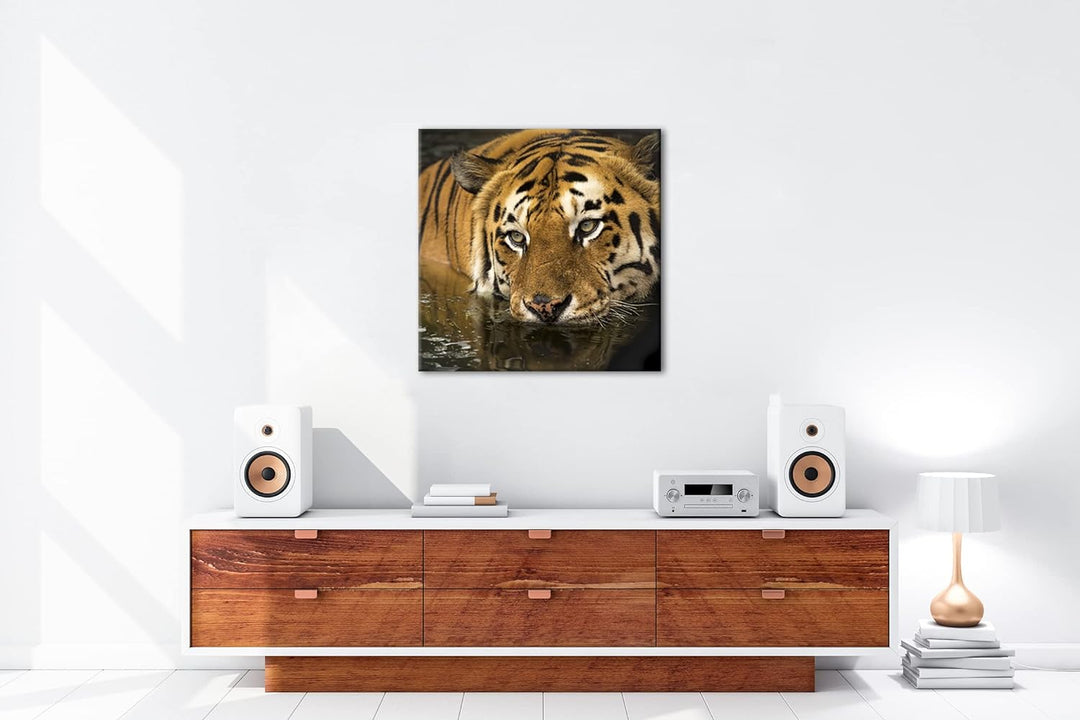deyoli lauernder Tiger Format: 70x70 cm als Leinwandbild, Motiv fertig gerahmt auf Echtholzrahmen, H