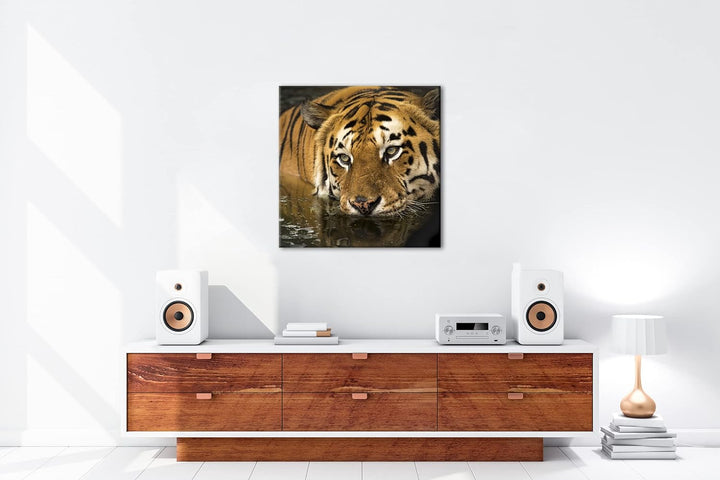 deyoli lauernder Tiger Format: 70x70 cm als Leinwandbild, Motiv fertig gerahmt auf Echtholzrahmen, H