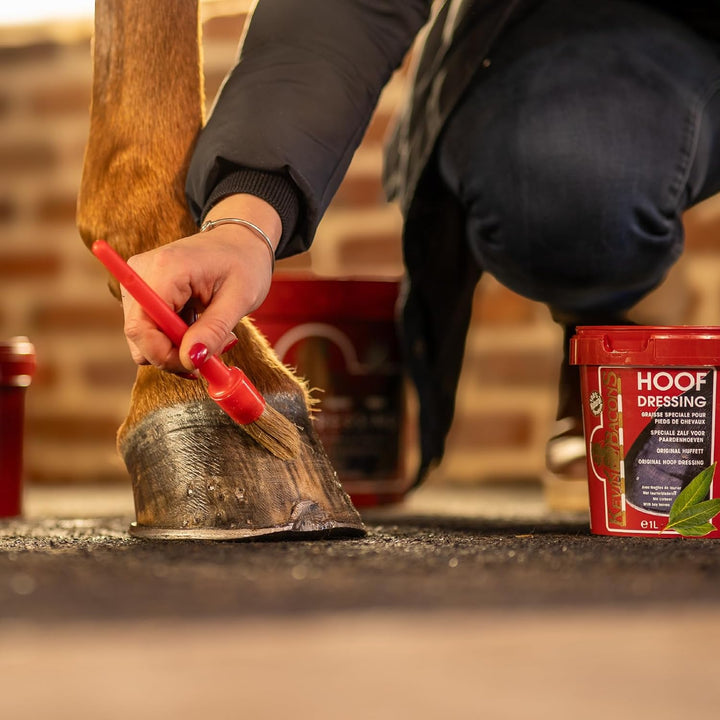 Kevin Bacon’s Hoof Dressing | 2,5 l | Lorbeersalbe zum Schutz und Unterhalt der Pferdehufe | Hufpfle