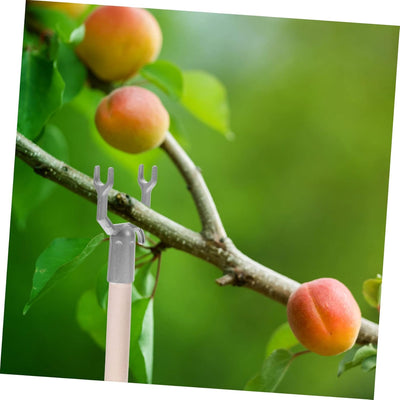 Yardwe 12 Stück Aststopfen Obstbaum Aststütze Baumständer Baumhalter Stützklammer Aluminiumlegierung