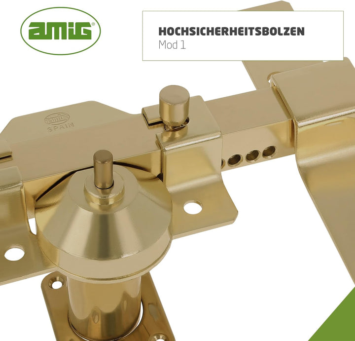 AMIG - Riegel für Türen von hoher Sicherheit, poliertes Finish in Goldfarbe, runder Zylinder von 50 