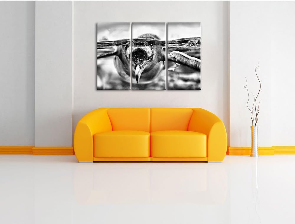 Monocrome, Pinguin im Wasser 3-Teiler Leinwandbild 120x80 Bild auf Leinwand