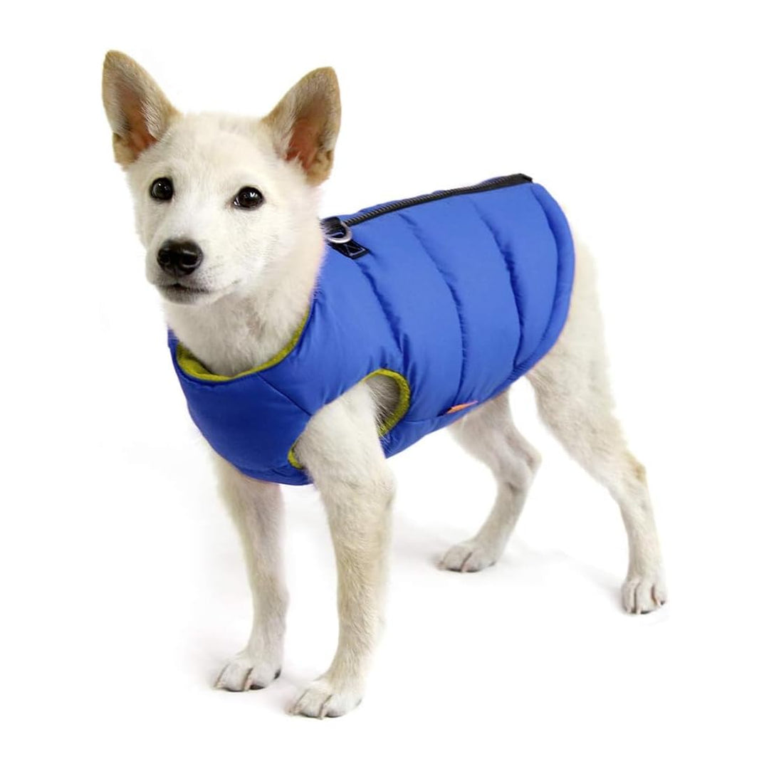Gooby Gepolsterte Weste Hundejacke – solide blau, XS – warme Hundeweste mit Reissverschluss und Dopp