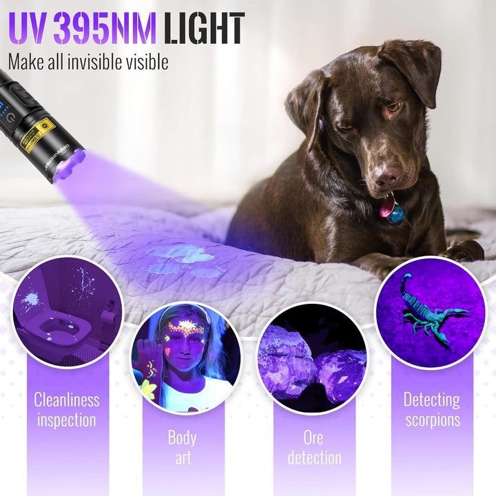 DARKBEAM UV Taschenlampe Schwarzlicht 395nm, LED Taschenlampen USB Aufladbar Superhell Fokus einstel