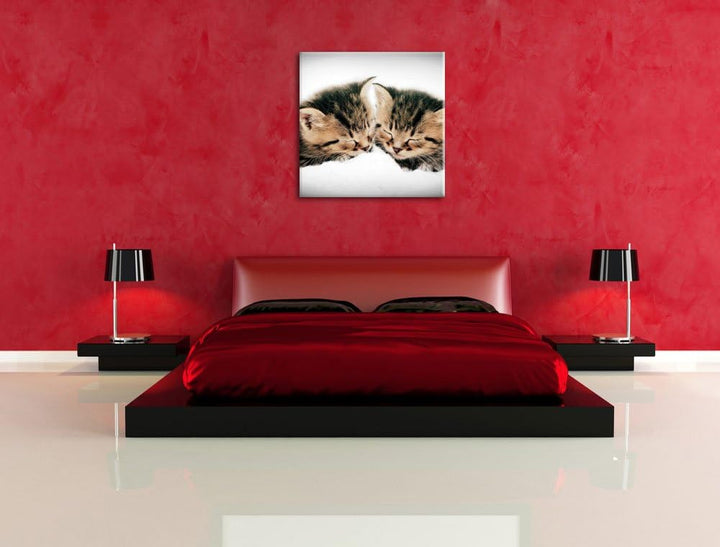Pixxprint Kleine Süsse Kätzchen kuscheln / 70x70cm Leinwandbild bespannt auf Holzrahmen/Wandbild Kun