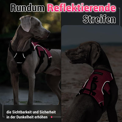 rabbitgoo Ausbruchsicheres Hundegeschirr Mittelgrosse Hunde mit Griff, Anti Zug Sicherheitsgeschirr