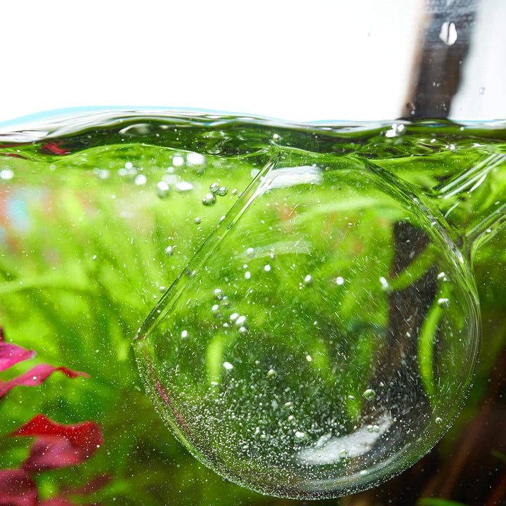 USCAPE Moon Pipe Outflow Glas - Aquarien Filterauslauf Glasware (13mm (12/16mm)), 13mm (12/16mm)