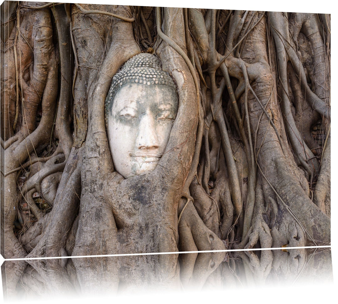 Buddha Kopf verwachsen im Baum Format: 100x70 auf Leinwand, XXL riesige Bilder fertig gerahmt mit Ke
