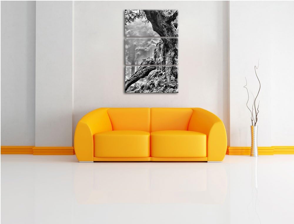 Pixxprint Dicker Baum im Wald im Moos als Leinwandbild/Grösse: 3 Teilig (120x80) cm/Wandbild/Kunstdr