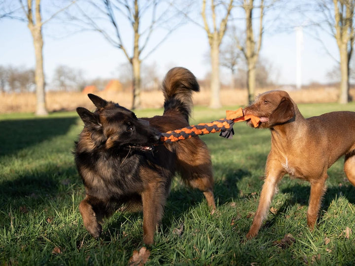 TrendPet Zergel, Zerrspielzeug, Spielzeug für Hunde (5,0x50cm), 5,0x50cm