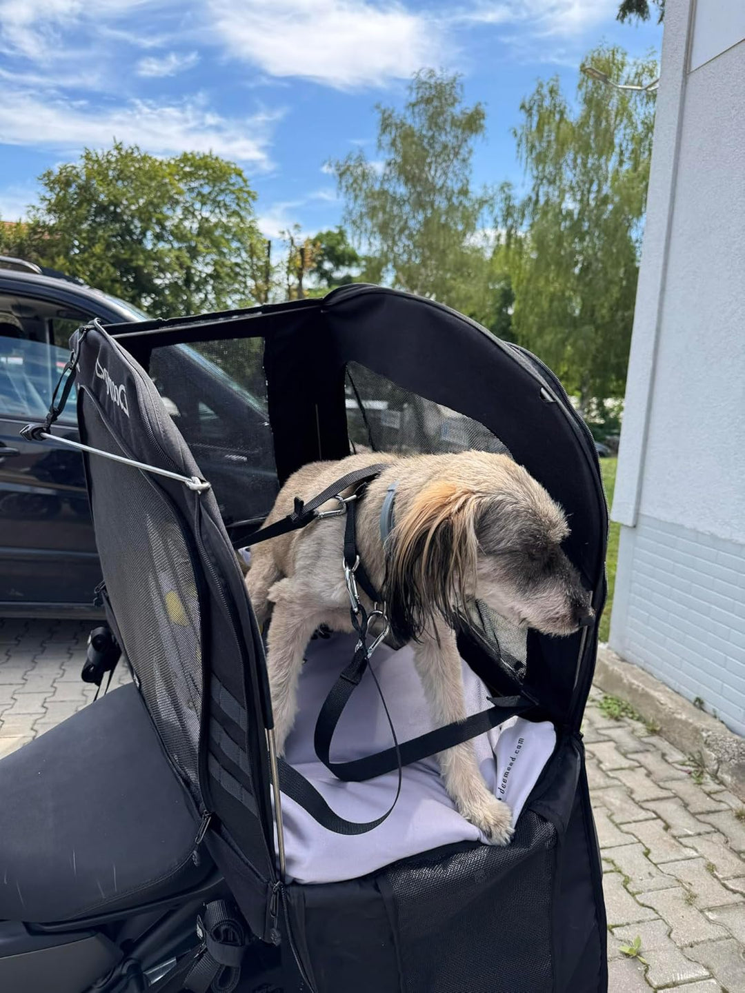 DEEMEED PETBAG Motorrad Tasche für Hunde und Katzen (2-36 kg), wasserdicht, tragbar, dreifach belüft