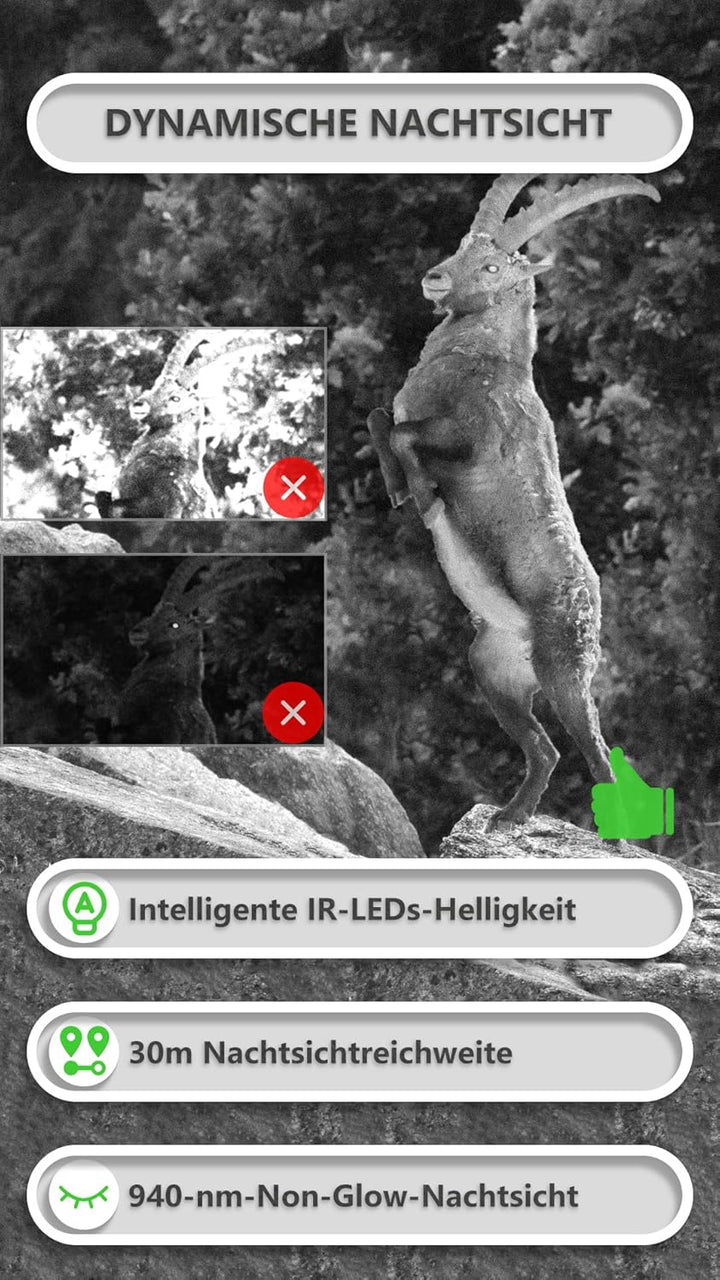 GardePro E8P Wildkamera WLAN, Wiederaufladbare 8000mAh Batterie, 64MP 1296P, Wildtierkamera mit bewe