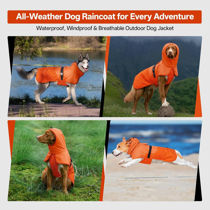 Hunde-Regenmantel für grosse Hunde mit Kapuze, wasserdicht, reflektierend, mit verstellbarem Kordelz