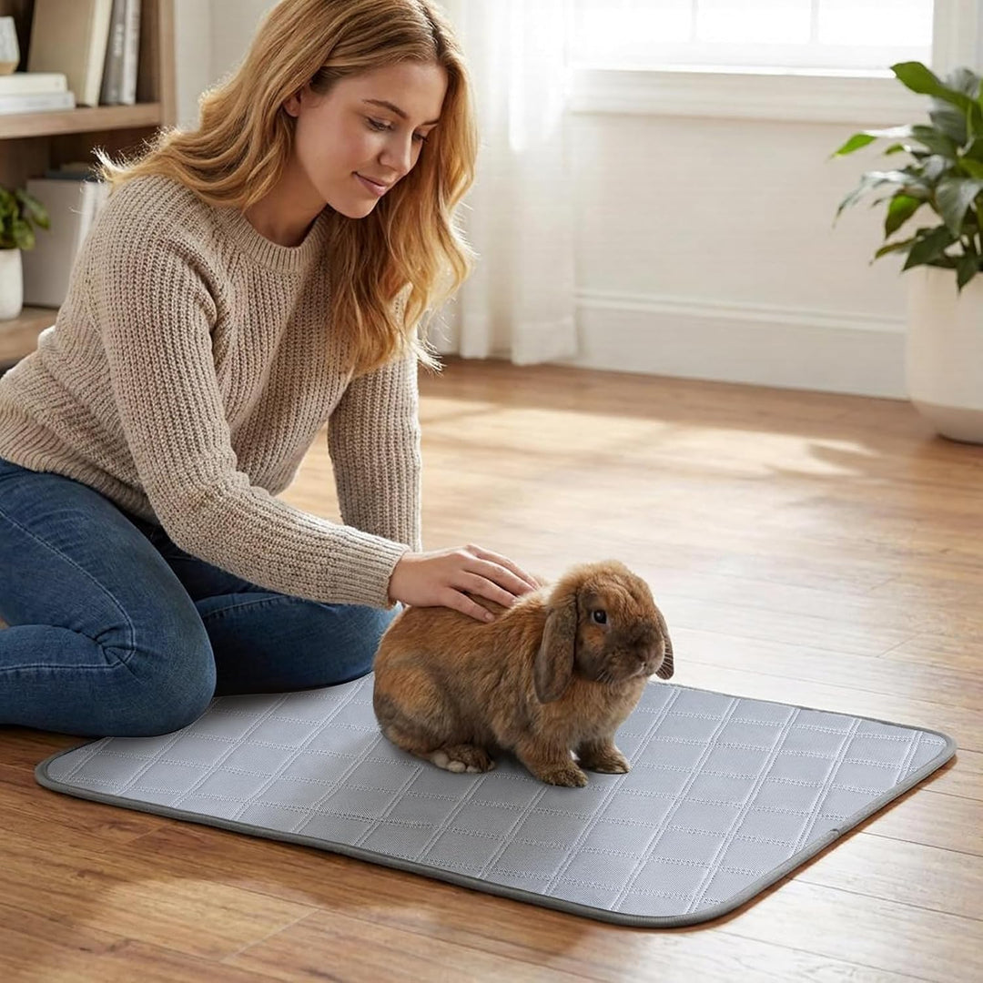 VavoPaw Kleintier Teppich Saugfähige Käfigmatte, 2 PCS 50x70cm Liner Fleece Wiederverwendbar Pad mit