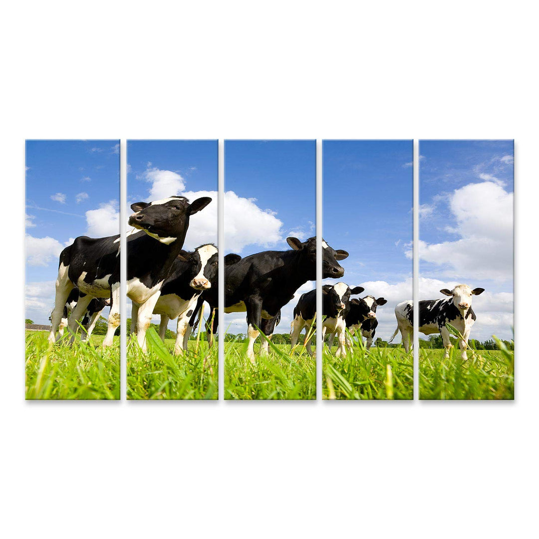 islandburner Bild auf Leinwand Holsteinische Kühe Auf Der Wiese Bilder Wandbilder Poster Leinwand 16