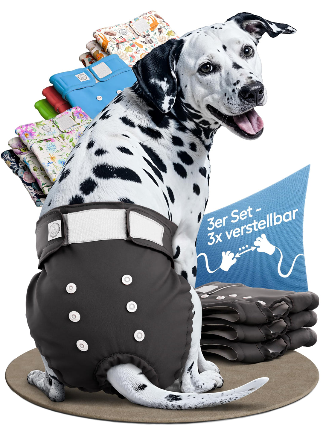 HUND IST KÖNIG Hundewindeln für Hündinnen (3 Stück) - Hochabsorbierende Läufigkeitshose für Hündinne