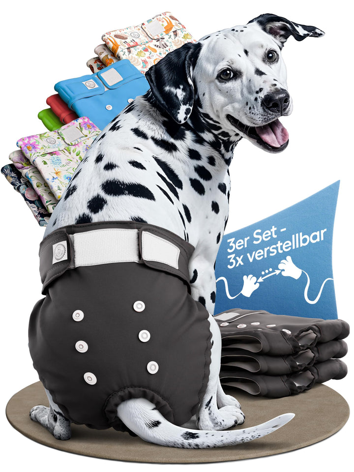 HUND IST KÖNIG Hundewindeln für Hündinnen (3 Stück) - Hochabsorbierende Läufigkeitshose für Hündinne