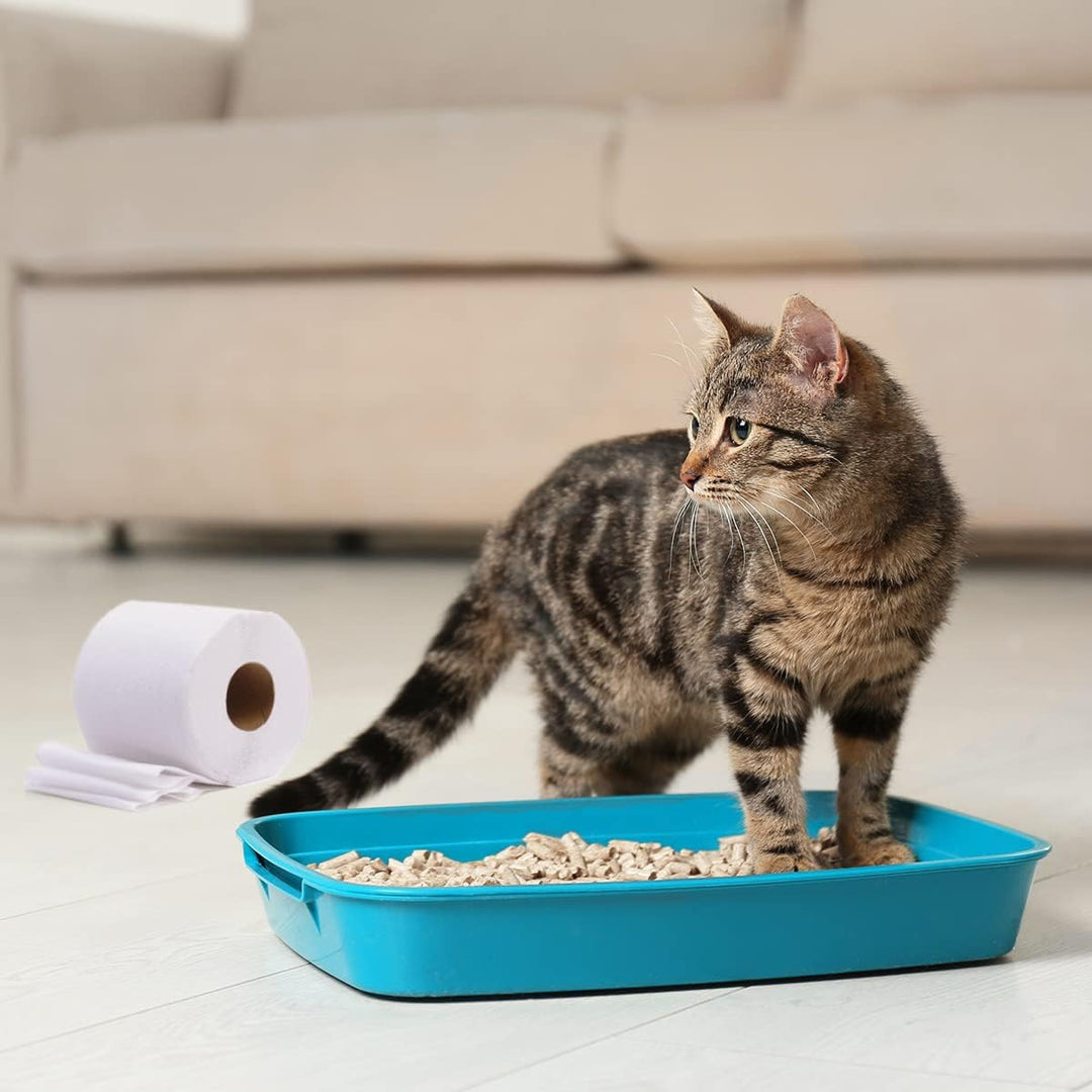 Cat&Rina Extra-absorbierendes Papier-Katzenstreu. Biologisch abbaubar und in der Toilette zu entsorg