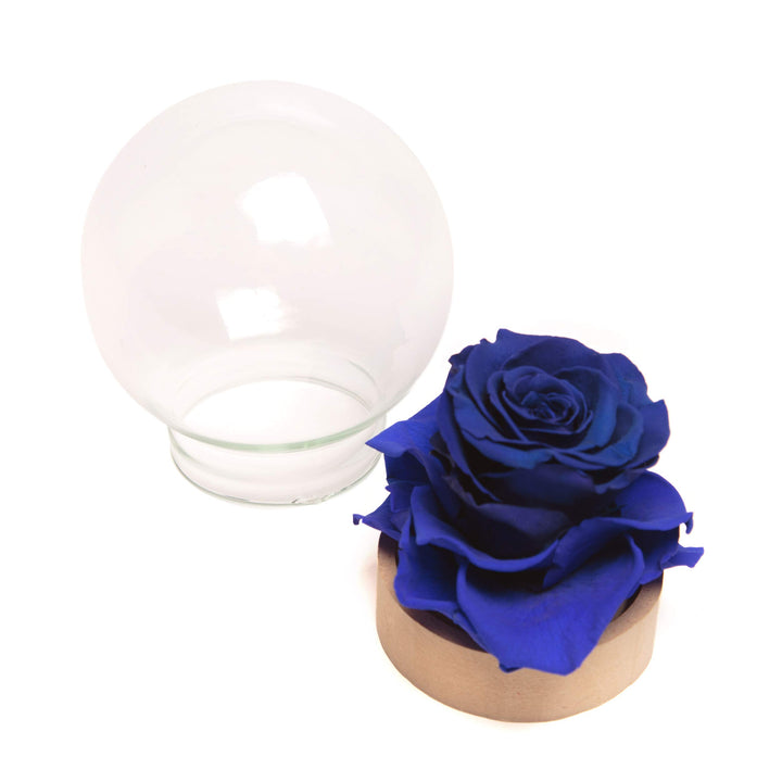 Infinity Rose im Glas die Schöne und das Biest echte langlebige Rose in Glaskugel (Large, Blau) Larg