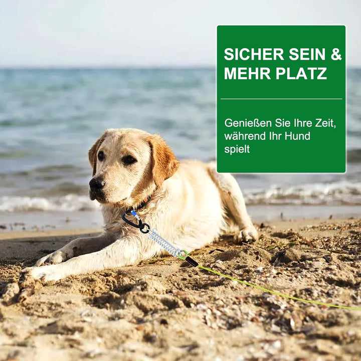 Hofleine Für Hunde, 3m Hofleine Tie Out Leinen, Tie Out Cables Für Hunde mit Schraubverschluss, Hofl