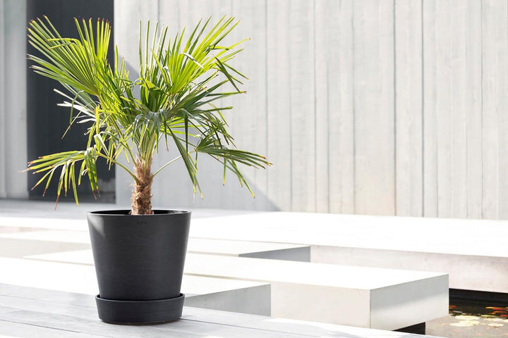 Ecopots Untersetzer rollbar für Blumentopf Amsterdam Dunkel Grau Durchmesser innen 26 cm/aussen 28 c