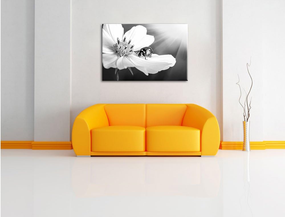 Pixxprint Marienkäfer auf Einer Blume / 100x70cm Leinwandbild bespannt auf Holzrahmen/Wandbild Kunst