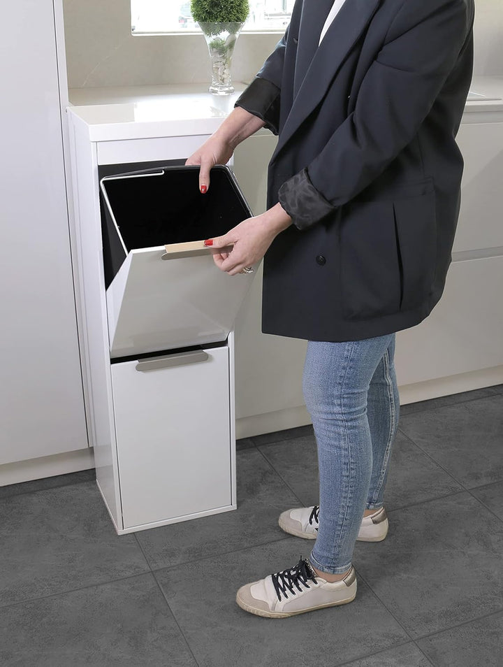 ARREGUI Ecoclas CR201-E Recycling Abfalleimer/Mülleimer aus Stahl, Mülltrennsystem mit 2 entnehmbare